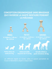 Betterbone-jouet-a-macher-pour-chien-naturel-petit-soft-chew-boeuf