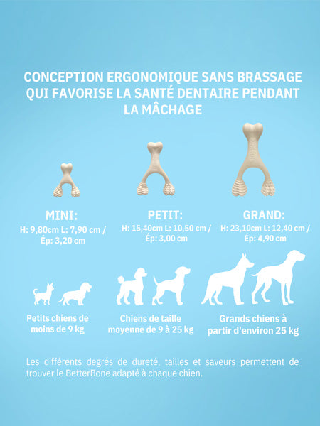 Betterbone-jouet-a-macher-pour-chien-naturel-petit-soft-chew-boeuf