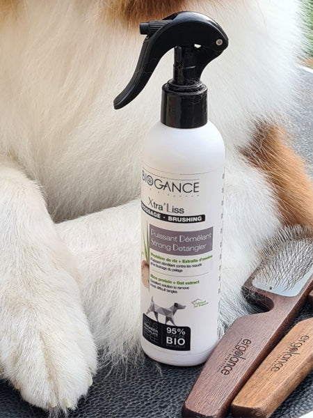 Biogance-brosse-carde-toilettage-chien
