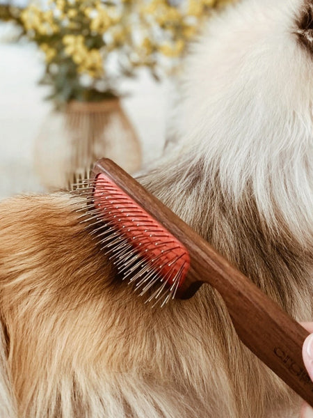Biogance-brosse-demelante-toilettage-chien