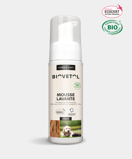     Biovetol-shampoing-sec-mousse-lavante