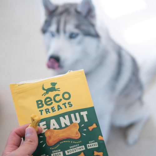 Biscuit pour chien - friandise de récompense - collection list