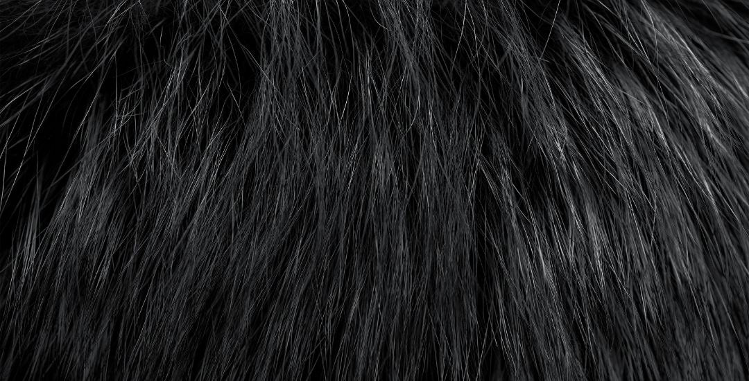 Black_Friday_deals_-_Website_banner_sans_titre.jpg
