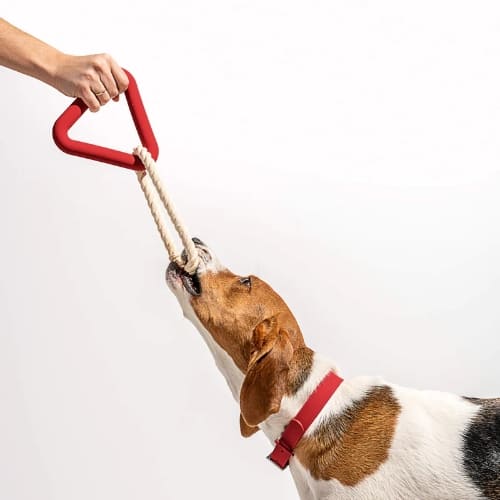 Becopets - Balle en corde pour chien eco-friendly – inooko