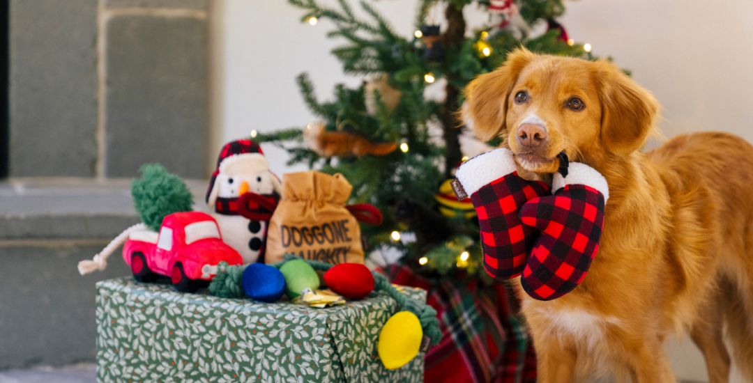Boutique de Noël pour chien et chat inooko