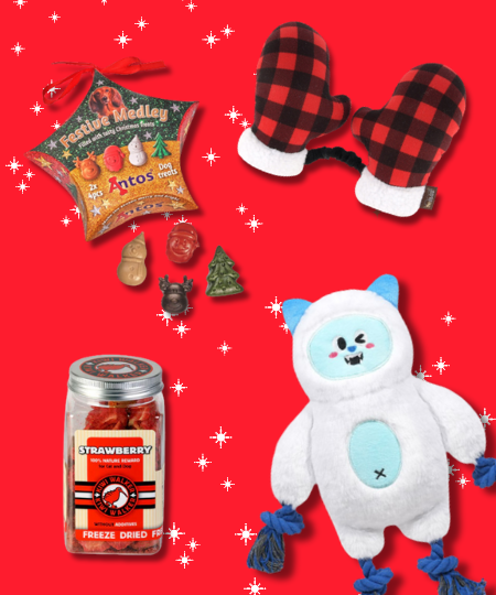 Box de noël pour chien - Jour de Neige