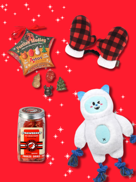 Box de noël pour chien - Jour de Neige