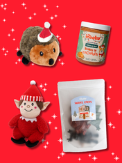 Box de Noël pour chien - Lutin du Père Noël