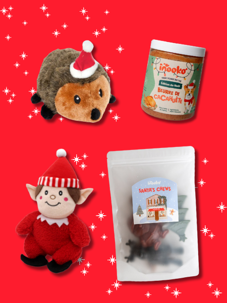 Box de Noël pour chien - Lutin du Père Noël