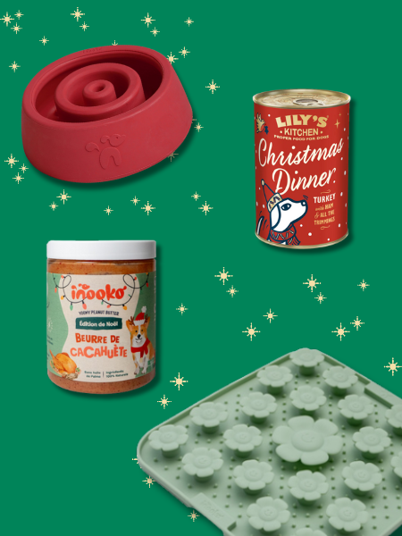 Box de noël pour chien - Pause gourmande