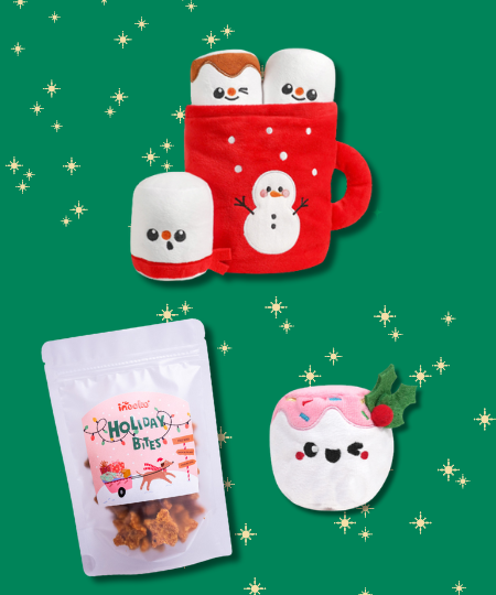 Box de noël pour chien chocolat réconfortant