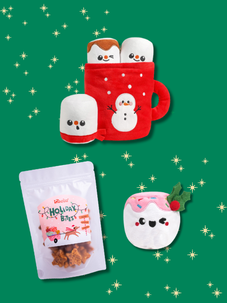 Box de noël pour chien chocolat réconfortant
