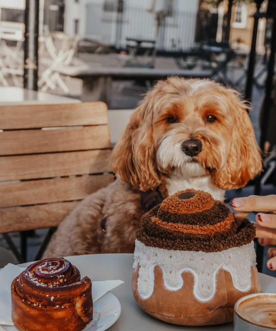 By-teddy-peluche-pour-chien-design-Cinnamon-Roll