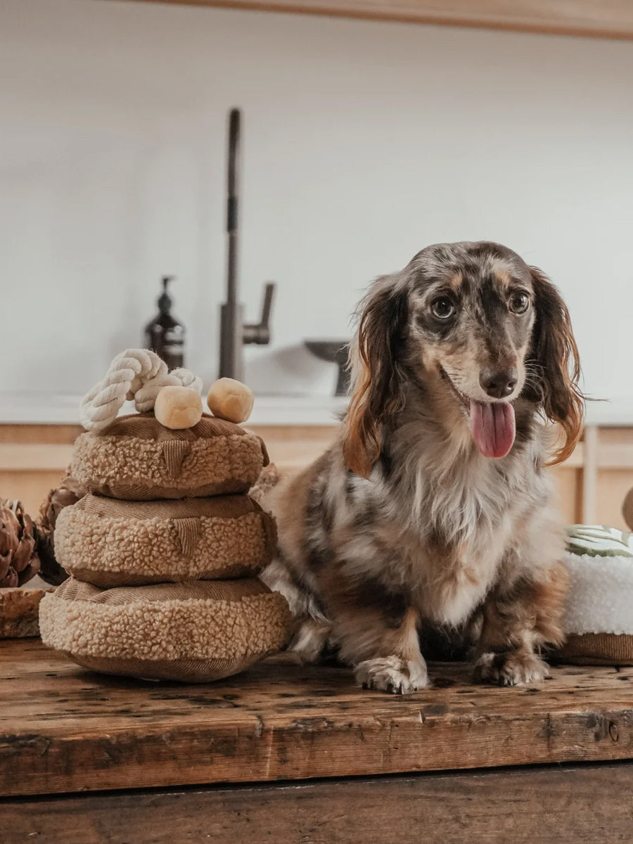 By-teddy-peluche-pour-chien-design-Maple-Pancake