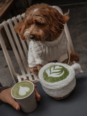 By-teddy-peluche-pour-chien-design-Matcha-Latte