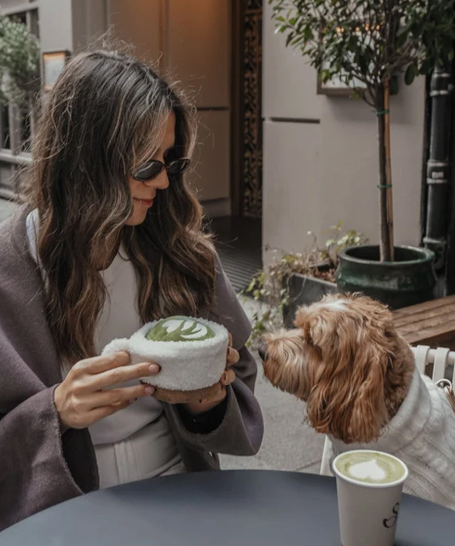 By-teddy-peluche-pour-chien-design-Matcha-Latte