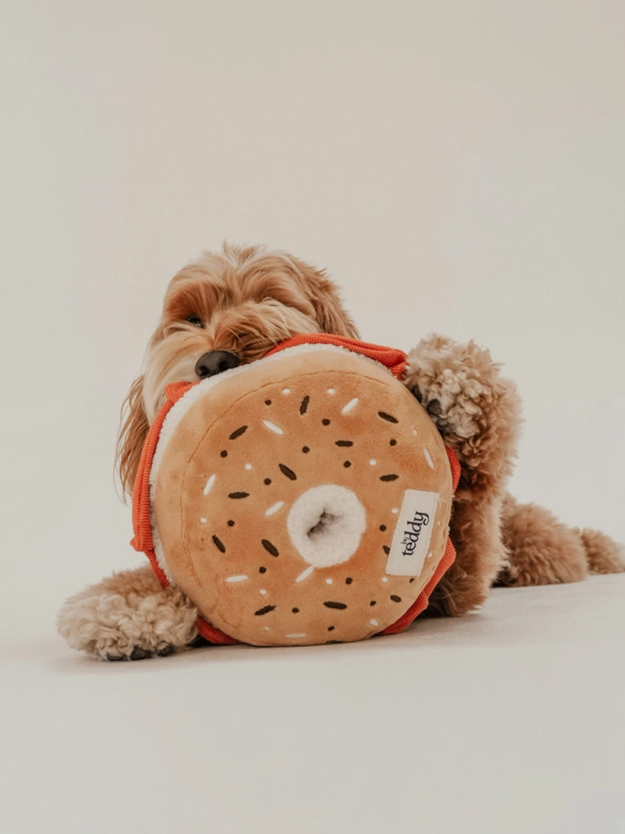 By-teddy-peluche-pour-chien-design-Salmon-Cream-Cheese-Bagel