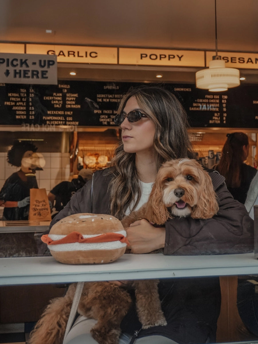 By-teddy-peluche-pour-chien-design-Salmon-Cream-Cheese-Bagel