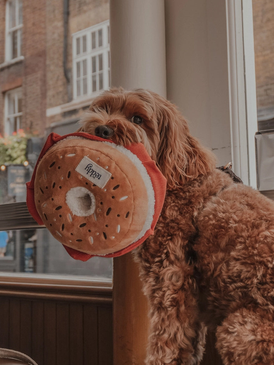 By-teddy-peluche-pour-chien-design-Salmon-Cream-Cheese-Bagel