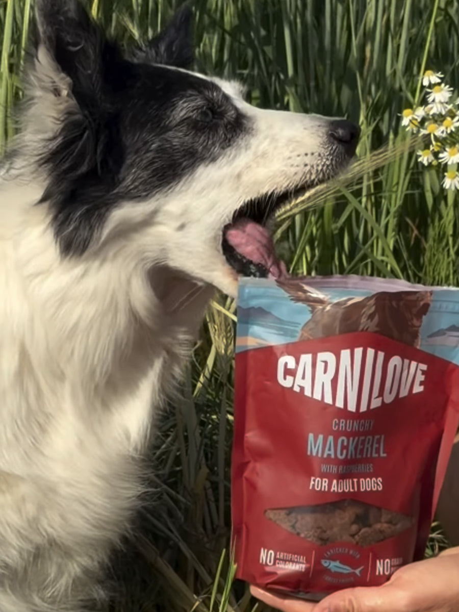 Carnilove-friandises-sans-cereales-pour-chien-crunchy-maquereau