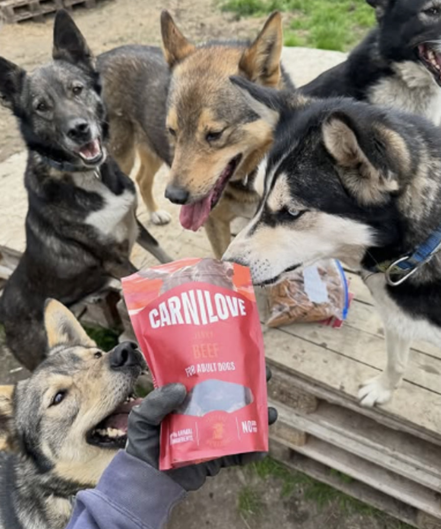 Carnilove-friandises-pour-chien-jerky-boeuf
