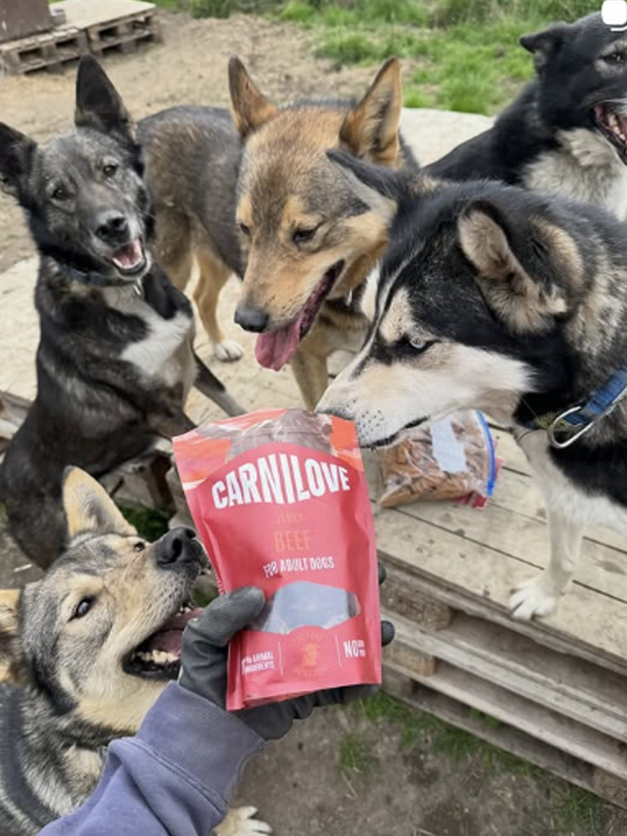 Carnilove-friandises-pour-chien-jerky-boeuf
