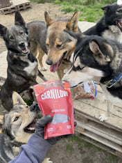 Carnilove-friandises-pour-chien-jerky-boeuf