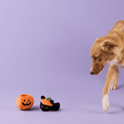 The-Foggy-Dog-peluche-fouille-balle-pour-chien-halloween-citrouille