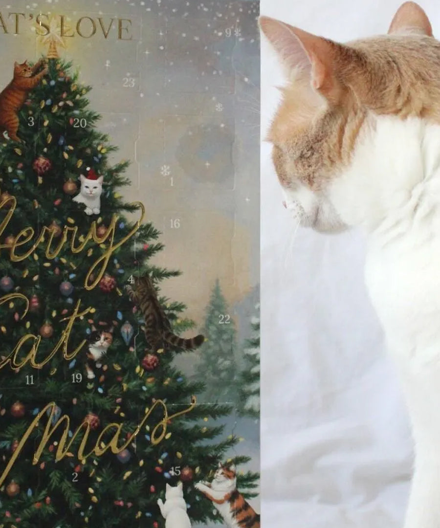 Cats-Love-calendrier-de-l-avent-pour-chat-2026