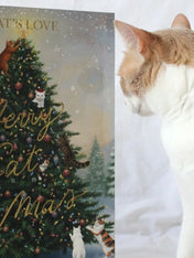 Cats-Love-calendrier-de-l-avent-pour-chat-2026