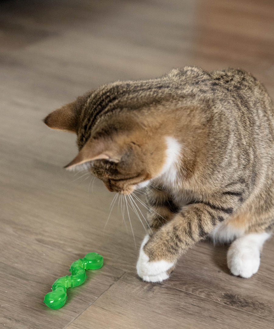 Catstages-orkakat_catnip-wiggle-worm