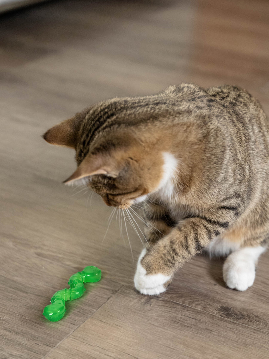 Catstages-orkakat_catnip-wiggle-worm