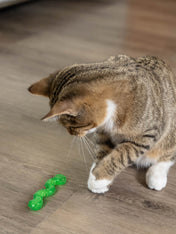Catstages-orkakat_catnip-wiggle-worm