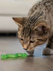 Catstages-orkakat_catnip-wiggle-worm