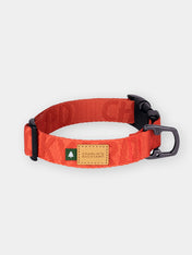 Charlie_s-Backyard-collier-pour-chien-TOWN-BASIC-orange