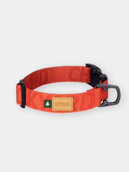 Charlie_s-Backyard-collier-pour-chien-TOWN-BASIC-orange