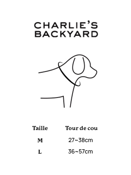    Charlie_s-Backyard-collier-pour-chien-town-guide-taille