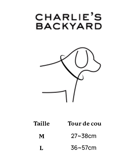        Charlie_s-Backyard-collier-pour-chien-town-marron