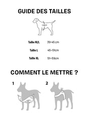 Charlie_s-Backyard-harnais-roy-pour-chien-bleu