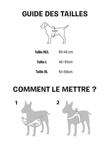 Charlie_s-Backyard-harnais-roy-pour-chien-bleu