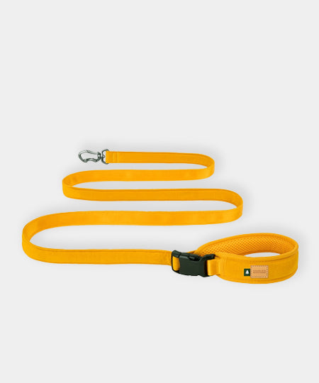 Charlie_s-Backyard-laisse-ajustable-pour-chien-town-jaune
