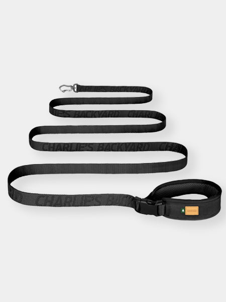 Charlie_s-Backyard-laisse-multiposition-pour-chien-TOWN-BASIC-noir