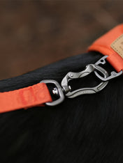 Charlie_s-Backyard-laisse-multiposition-pour-chien-TOWN-BASIC-orange