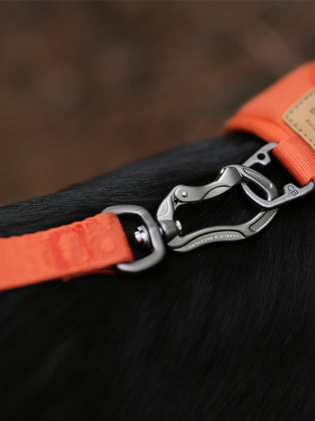 Charlie_s-Backyard-laisse-multiposition-pour-chien-TOWN-BASIC-orange