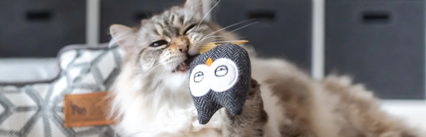 Jouet Poisson pour chat avec herbe à chat Made In France - Homycat