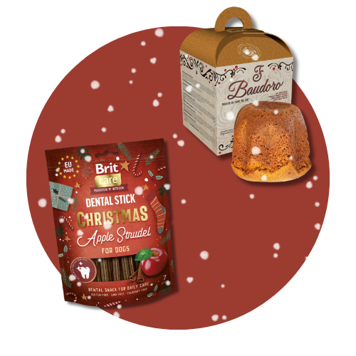 boutique de noël pour chien - Friandises de noël pour chien