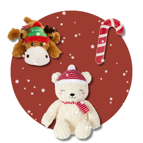 boutique de noël pour chien - Jouets chien