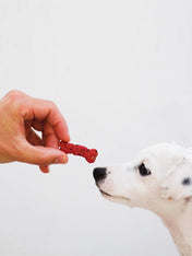 Cookas-Cookies-Friandises-naturelles-saines-chien-chiot-LISBOA-BEET-QUINOA-bettrave