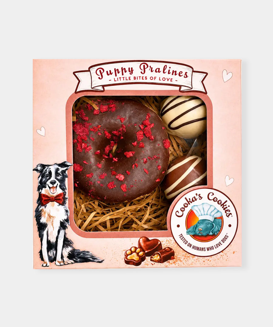 Cookas-Cookies-Friandises-naturelles-saines-chien-chiot-Puppy-Pralines