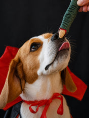 Cookas-Cookies-Friandises-naturelles-saines-chien-chiot-Witch-Fingers